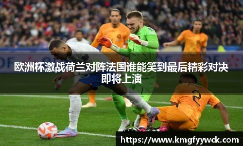 欧洲杯激战荷兰对阵法国谁能笑到最后精彩对决即将上演