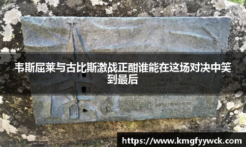 韦斯屈莱与古比斯激战正酣谁能在这场对决中笑到最后